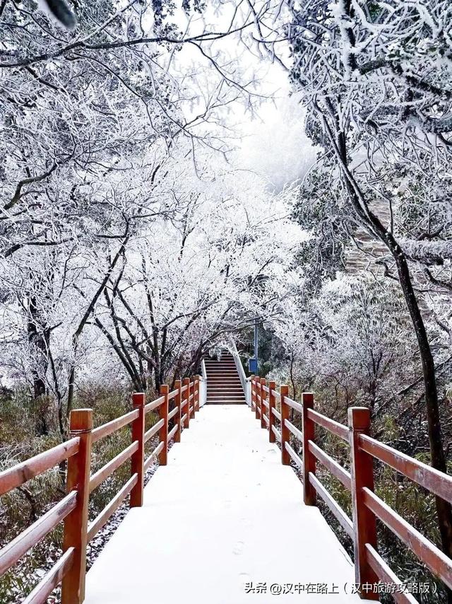 草川子下雪雪雪啦！九鼎山的雪景真的不可错过~
