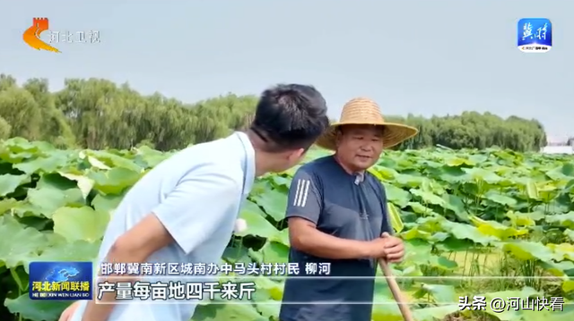沿着河湖看河北 | ⑤ 滏阳河：清流绕城 生态富民