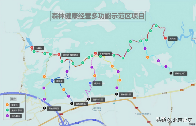 “顶流”葡萄延庆打擂，冬奥小镇新添徒步公园