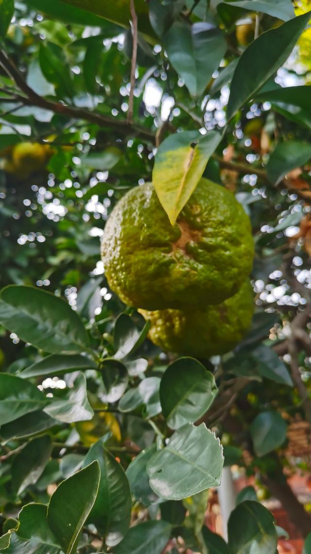 汉江野趣赋—陕西省安康市汉江探访四