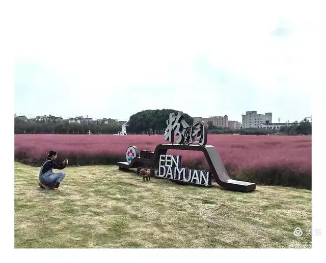 说说平湖钟埭、新仓、乍浦古镇和山塘古村落的人文地理故事
