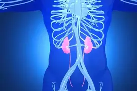 一天到晚老想睡觉，老觉得困，就想躺着，到底是怎么回事呢图片