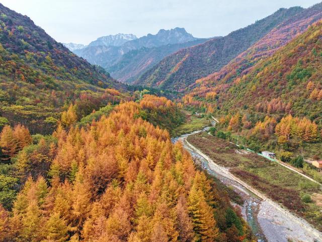 当晚秋遇见官鹅沟……
