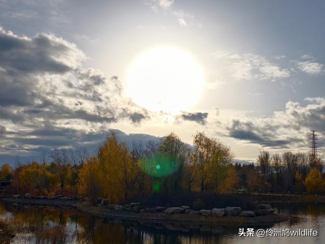 新疆昌吉头屯河公园