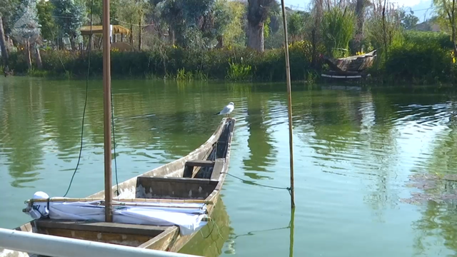 这个静谧小渔村，藏着彩虹桥、木栈道、老渔船、湖光鸥影……