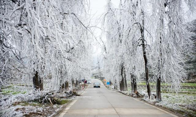 美如仙境！韶关这个地方迎来今年首场冰挂雾凇景观，秋冬来旅行，赏雪泡泉看红枫为你安排好了