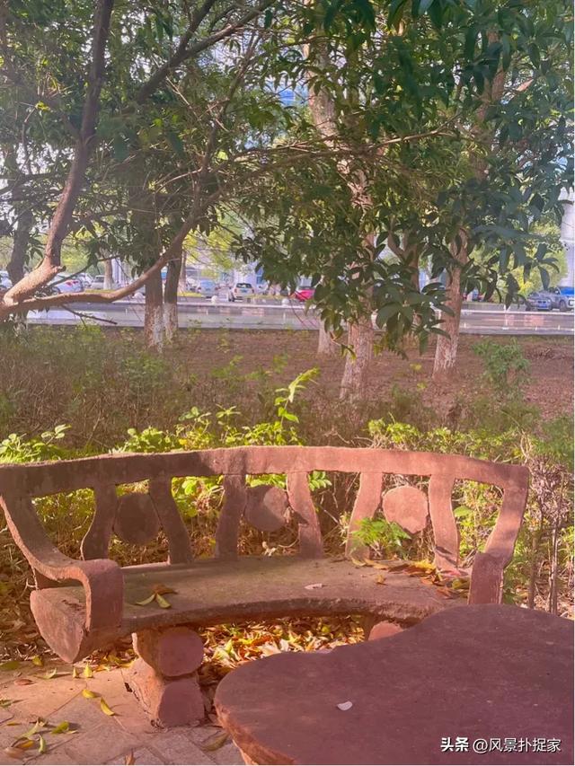 南昌的晚秋，风景美如画