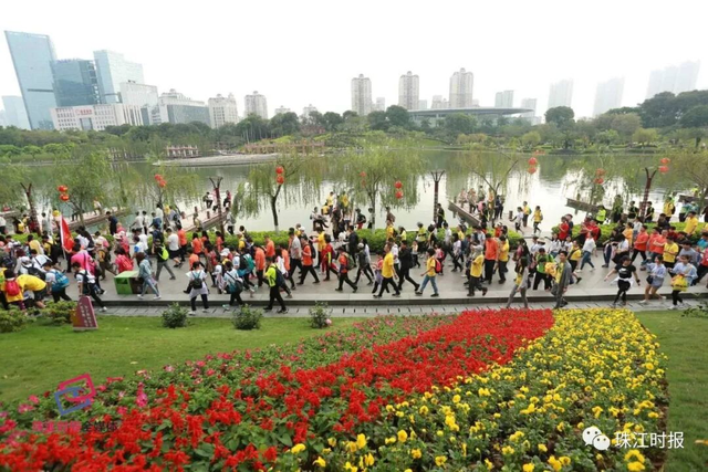 踏春赴约！2026佛山50公里徒步南海线，把满城春光走成朋友圈顶流