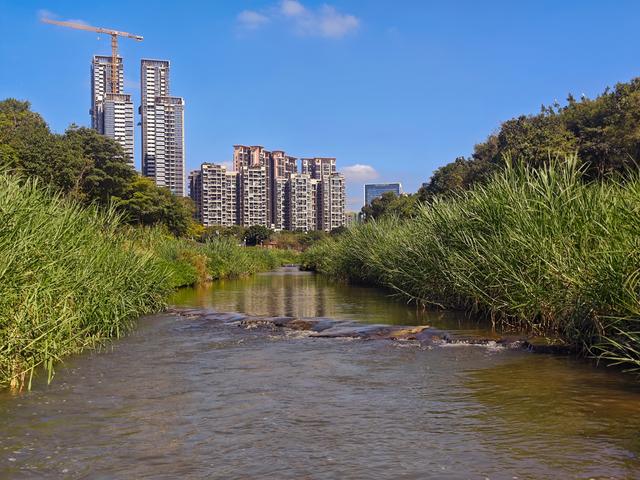 从学苑大道入大沙河绿过大学城后进深圳弯公园流花山景点【高清】