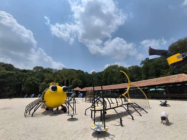 先收藏！成都1h直达最美水杉公园，小众人少、景美出片！