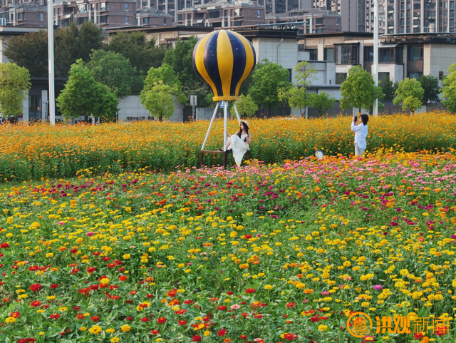 南昌，花开了！