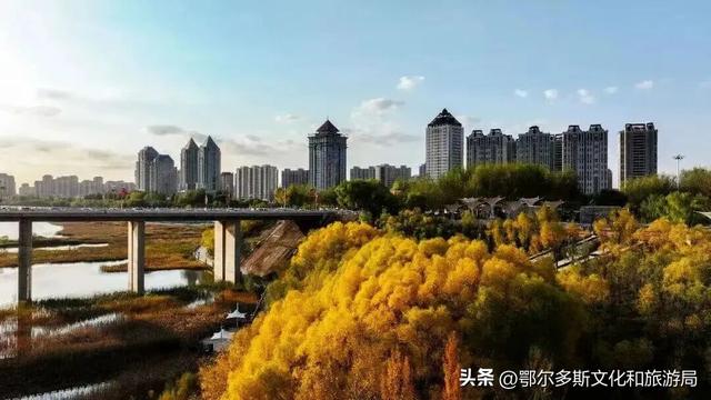 美到词穷！鄂尔多斯的秋天，每一帧都是壁纸