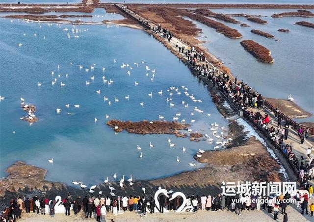 “淡季不淡”，运城文旅持续火热