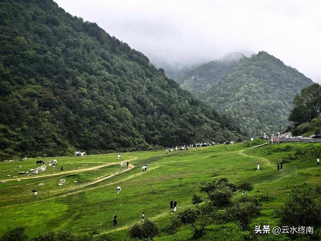 情人谷牛奶湖高山草甸：蜀道中“秦岭秘境”变成了一路的网红景点