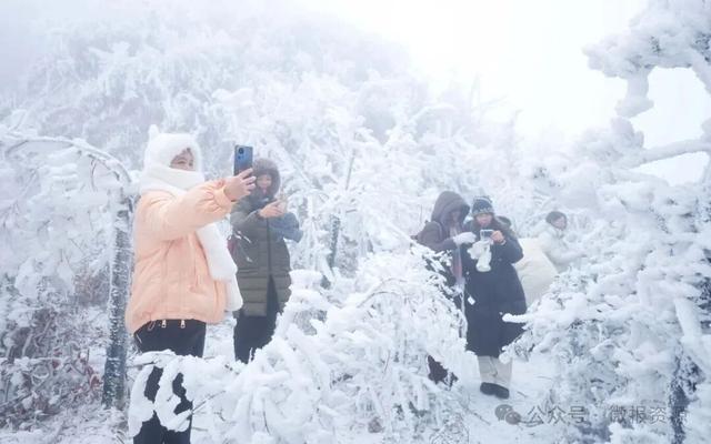 资源县：寒凝琼枝引客来 雾凇盛宴醉游人