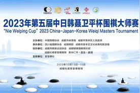 李昌镐来了！杜甫草堂再迎中日韩聂卫平杯围棋大师赛图片
