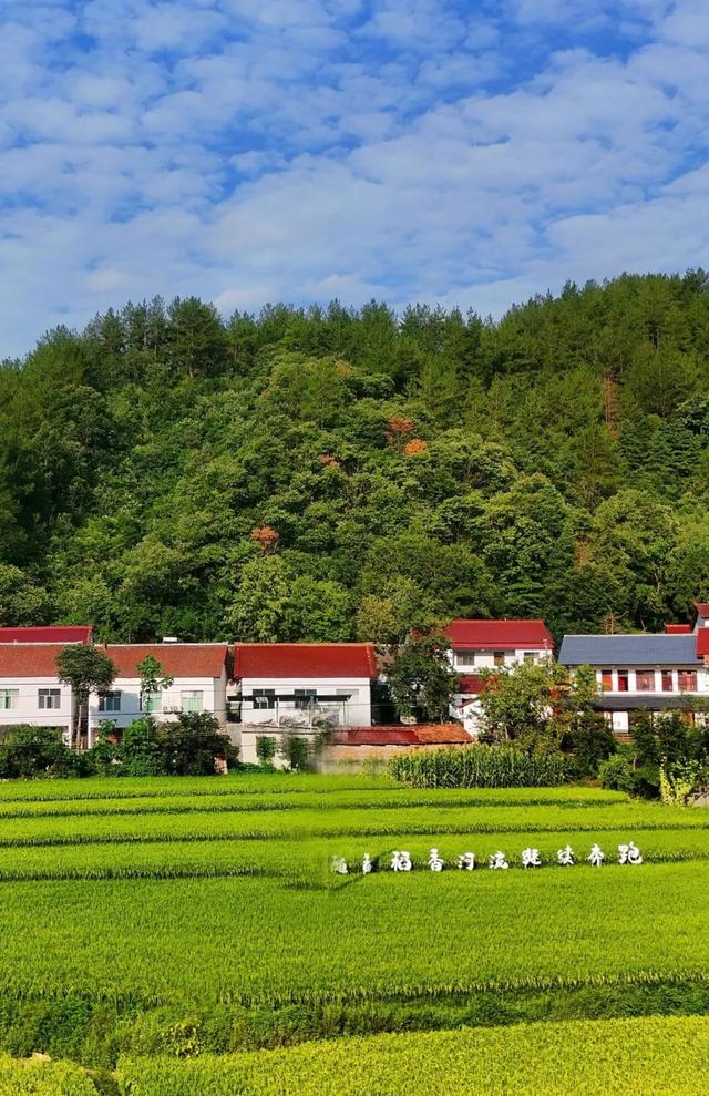 山野拾童趣！带娃来汉中这里，共享秋日亲子好时光~