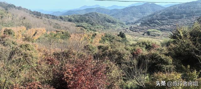 徒步奉化大雷山，古村、古道、梯田、秋景全部包揽