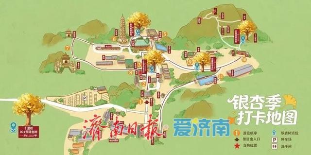 堵车不堵心，人多不误景，云边银杏正温暖风影