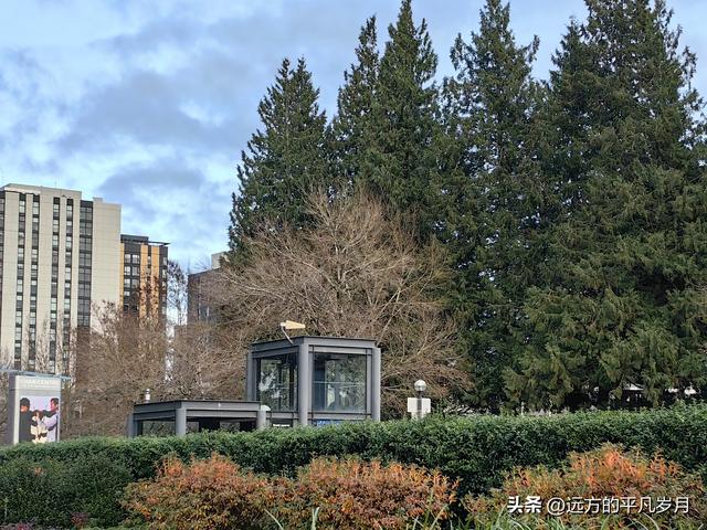 温哥华游记（五）