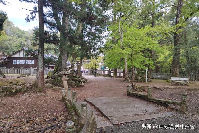 日本奈良：漫步若草山