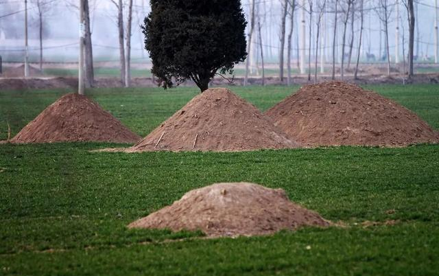 历史上	，中国死了那么多人都是土葬，为什么没感觉有那么多坟墓？