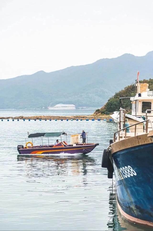 惠州进全球榜单！快来看看吧~