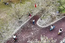 寒潮前锋已过长江！浙江局地2℃+雨雨雨！倒春寒超猛图片