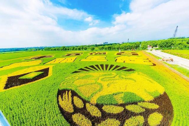 夏天必冲！丰台新增两家官方盖章的帐篷露营地！周末来王佐镇露营藏不住了！