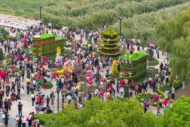 太出片了！这里的枫叶红了，乌桕美了！网友：原来武汉的秋天这么多情！