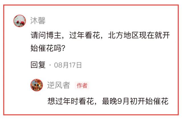 敢不敢来参加头条园艺pk赛