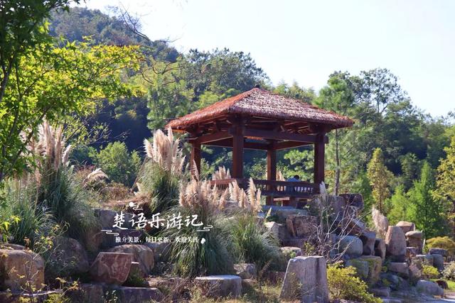 浙江绍兴少有人来的湖泊，景观步道被红杉掩映，平日秀丽秋色更美