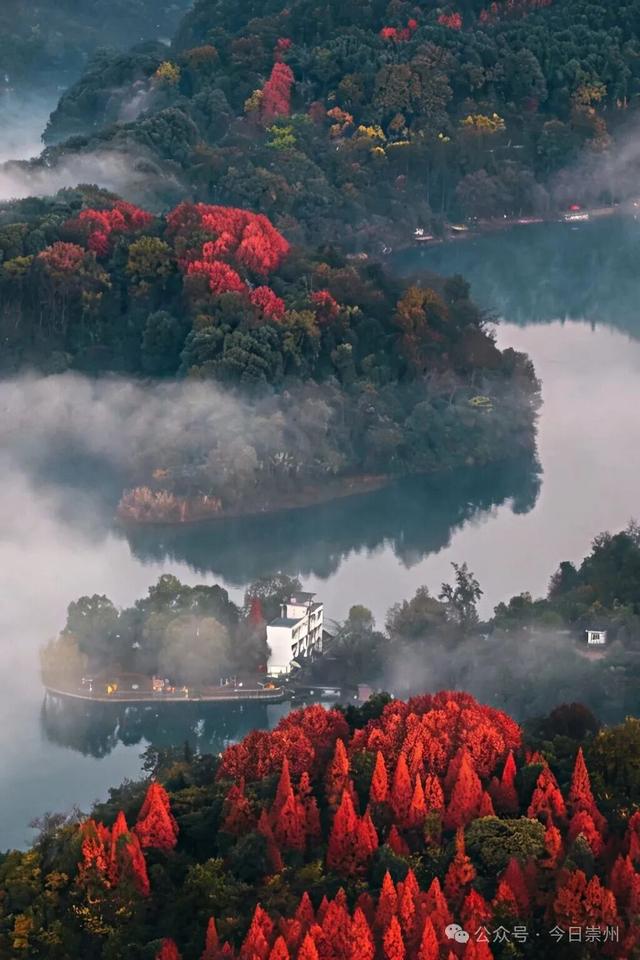 免费又出片！崇州初冬宝藏秘境，美到封神！