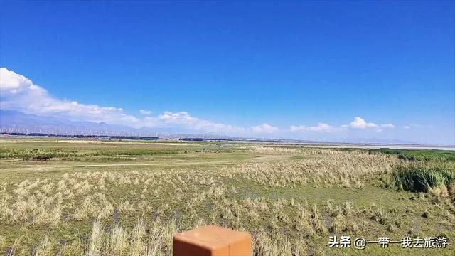 乌鲁木齐一柴窝堡湖湿地公园