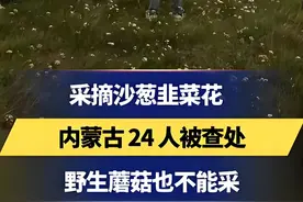 令人不解！采摘沙葱韭菜花被查处？是否过度执法？别一概而论图片