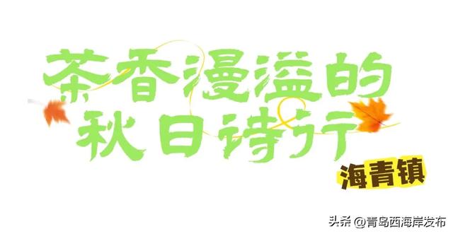 走不出这画了,我已被西海岸的秋景迷倒 🥹