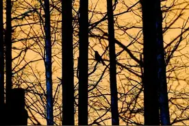 女生男相能力强，男生女相多富贵图片