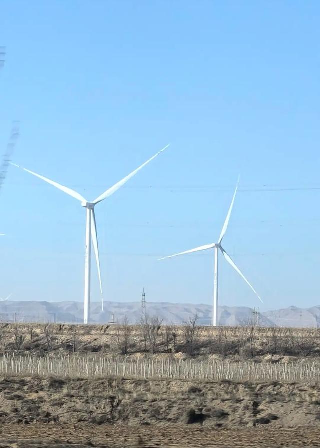 初冬沙波头：一场与天地共舞的温柔绮梦