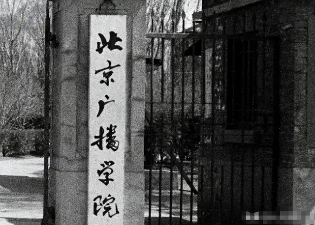 善恶终有报，57岁央视女主持王小丫，原来早已经走上另一条大路