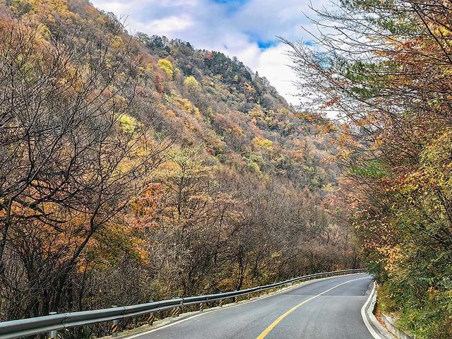 2024深秋四川行19 神农架风景区2 华中屋脊的五彩秘境