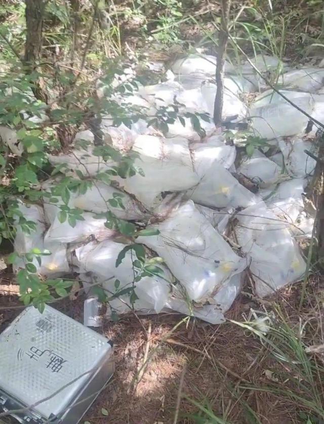江西南城通报树林发现丢弃药品