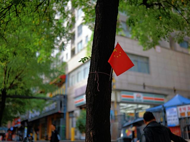 锐润轻量双优镜 适马 35mm F1.2 DG II | Art 深度评测