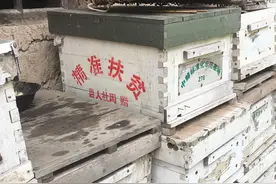 驻村工作防返贫动态监测三类对象帮扶政策流程图片