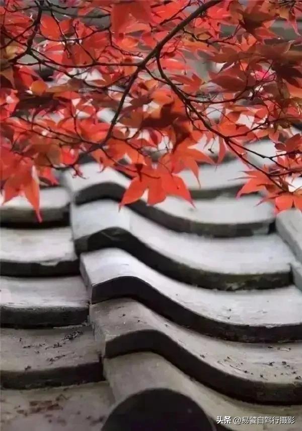 震撼!故宫瓦当,紫禁城守望者;中式美学老屋瓦当 只有中国人才懂