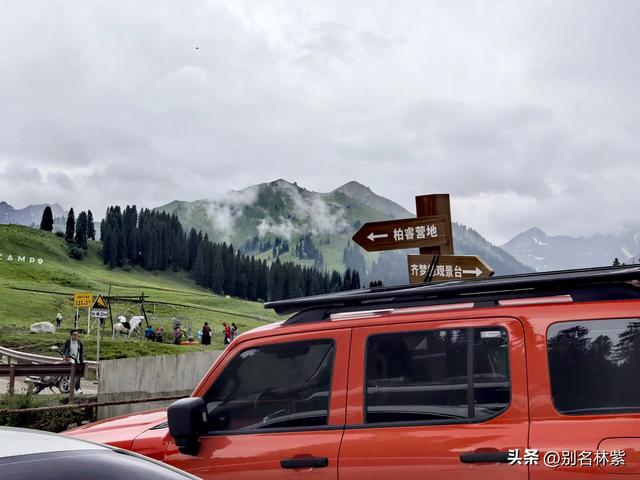 解锁库尔德宁，新疆伊犁的“天然氧吧”，60元门票太值了（6）