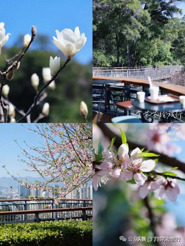 福州4号线换乘王，后段开通27个景点浪起来‼️地铁游玩手绘地图