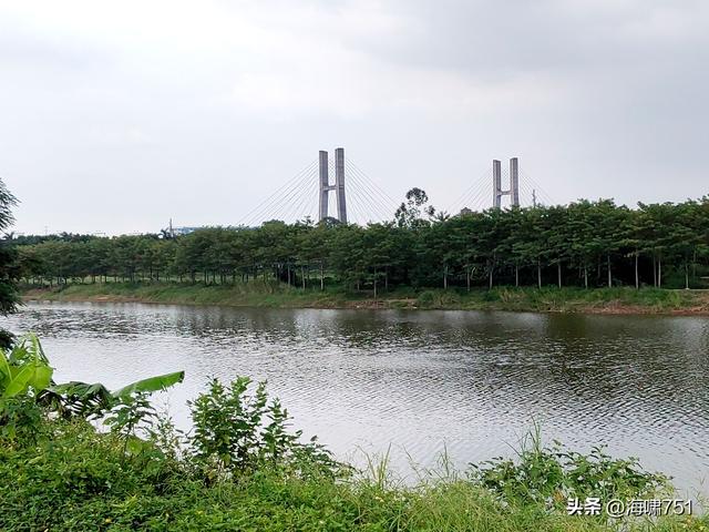南海金沙岛国家湿地公园