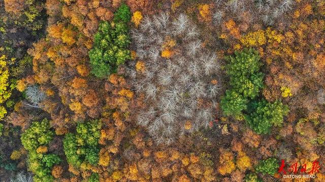 藏不住了！大同广灵圣眷峪“解锁”秋日限定，12公里沟峪美成巨幅暖色谱~