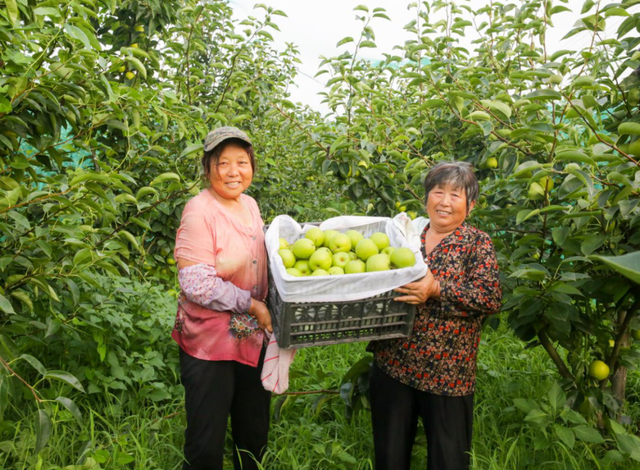 全了！如皋宝藏打卡地！