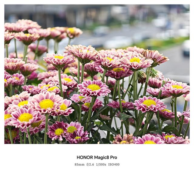 荣耀Magic8 Pro首发体验：由AI引导的手机自进化